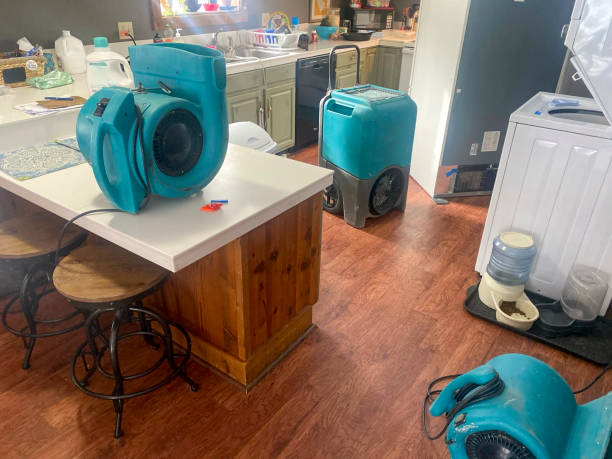 Best Flood damage cleanup  in Manheim, PA