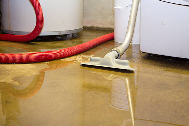 Best Sewage cleanup and water damage restoration  in Manheim, PA