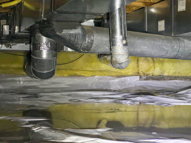 Best Water damage cleanup near me  in Manheim, PA